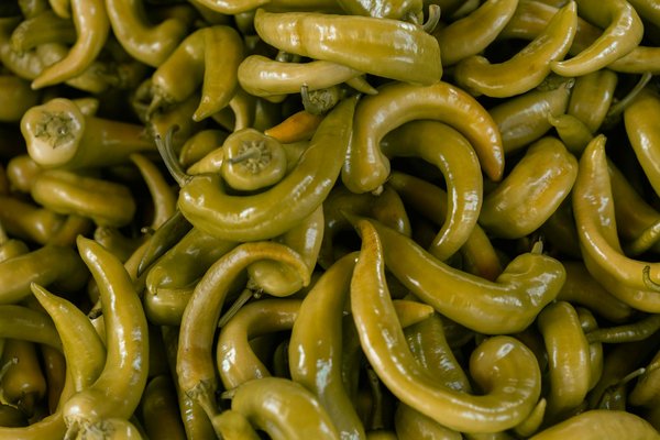 Les machines à raclette en voyage : versions portables et pour camping